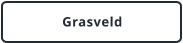 Grasveld